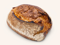 Pane  Bild 2