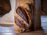 Dinkelkruste  Bild 1