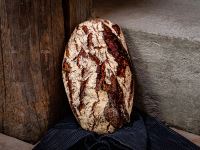 Holzfäller Bild 1