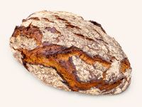 Holzfäller Bild 2