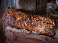 Oliven Ciabatta  Bild 1