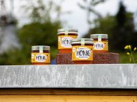 Mühlen Honig 250g Bild 1