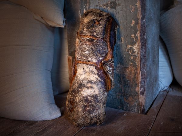 Ciabatta 