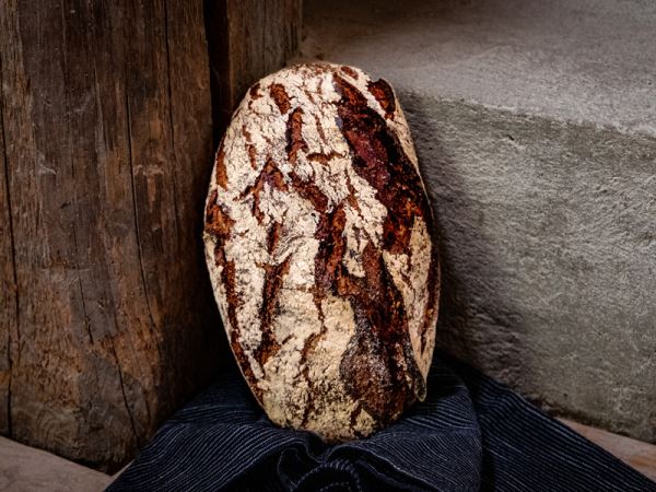 Holzfäller