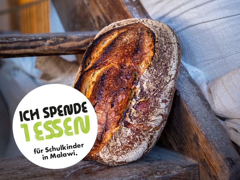 Pane  Bild 1