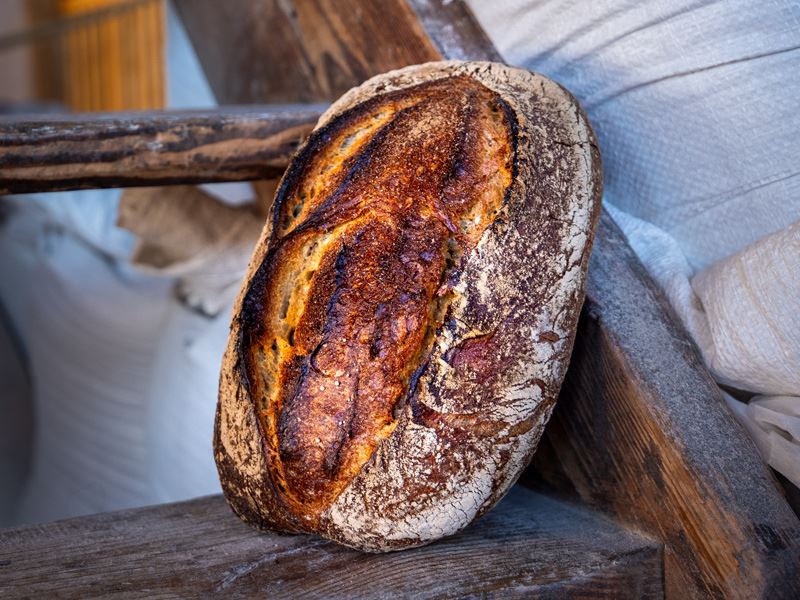 Pane  Bild 4